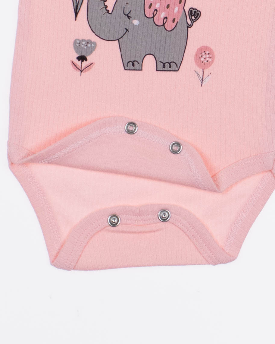 FINDIK 12525 Боди FINDIK 12525 Боди фото