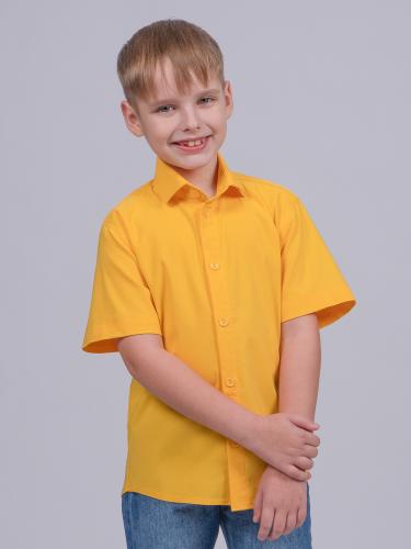 20160221-цвет-70 20160221-цвет-70