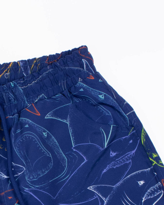 2024_02_06_0084692 2024_02_06_0084692