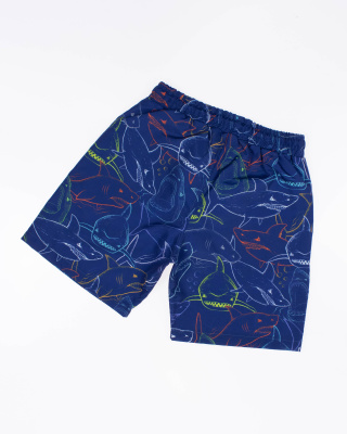 2024_02_06_0084694 2024_02_06_0084694