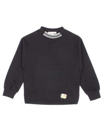 BERMINI 9042 Свитшот утепленный BERMINI 9042 Свитшот утепленный фото